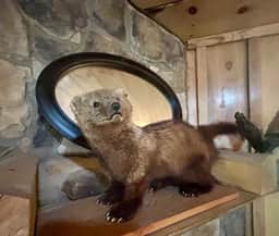 Lost In The Woods Cabin | Hochatown Cabin with Hot Tub, Fire Pit & Pets - Image 3