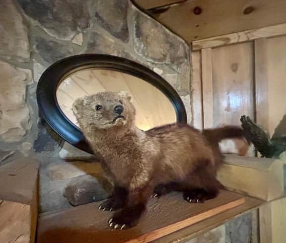 Lost In The Woods Cabin | Hochatown Cabin with Hot Tub, Fire Pit & Pets - Image 3